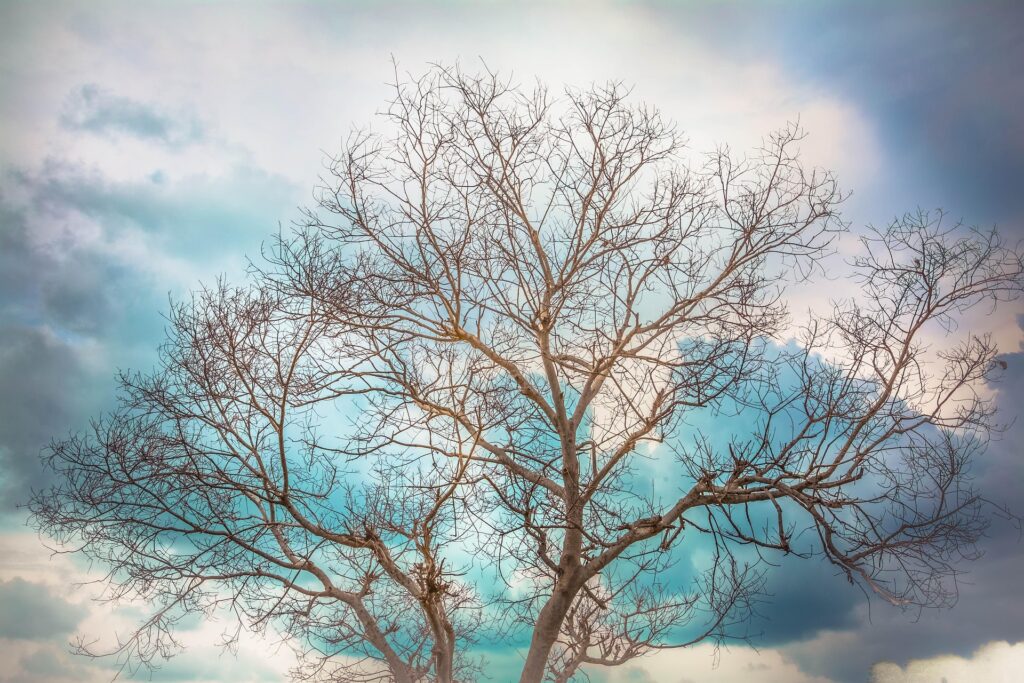 Use Custom Event Registration Questions To Branch Your Journeys In Customer Insights